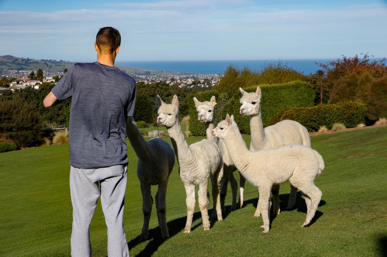 Alpaca Farmstay Дюндин Екстериор снимка